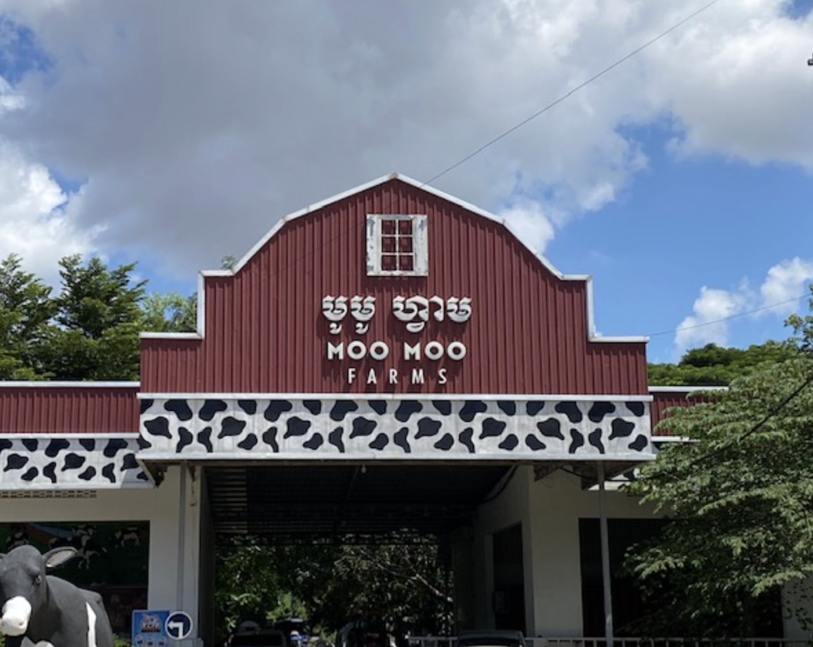 About — Moo Moo Farms